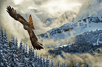 Prince Of The Skies, winter, snow, hunting, mountains, owl HD wallpaper