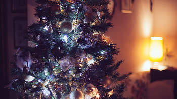 Preview ornaments, christmas tree, christmas, new year HD wallpaper