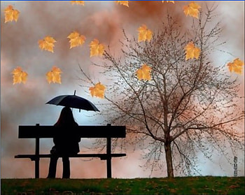 autumn, bench, leaves, fall HD wallpaper