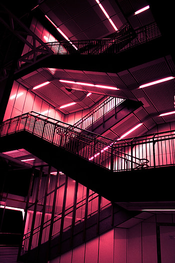 Neon, Miscellanea, Miscellaneous, Design, Construction, Backlight, Illumination, Ladder, Stairs HD phone wallpaper