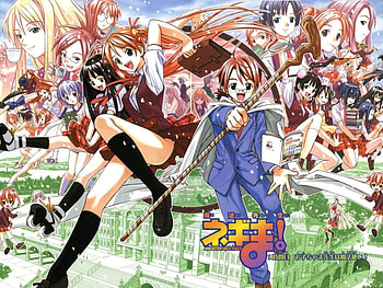 negima and class, magic, girl, wizard, anime girl, anime, class, negima, school, women, female HD wallpaper