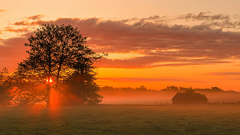 Fiery Sunset, misty, trees, landscape, clouds, colors, sky, houses HD wallpaper