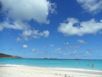 Saint Barthelemy guide, Travel tips, FAQs, Exploring the island HD wallpaper