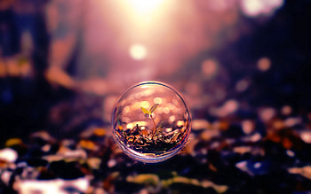 Plant, 3D, Flight, Ball HD wallpaper