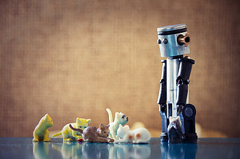 Lelik and The Cats, cats, toys, robot, lelik HD wallpaper