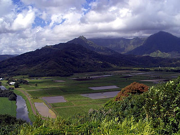 Hanalei Valley, grass, sky, field, valley HD wallpaper