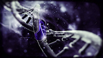 Miscellanea, Miscellaneous, Dna, Scheme, Genetic Code HD wallpaper