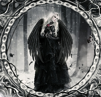 DARK ANGEL, ROSE, GOTHIC, WINGS, DARK, FEMALE, ANGEL HD wallpaper