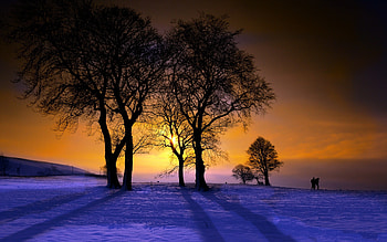 Sunlight, trss, landscape, clouds, sky, nature, sunset HD wallpaper