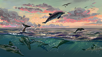 Water, Art, Dolfins, Sea, Bounce, Jump HD wallpaper