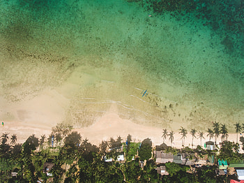 Green, beach, aerial view HD wallpaper