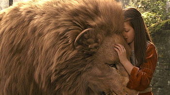 Narnia adventure, Fantasy family, Disney lion HD wallpaper
