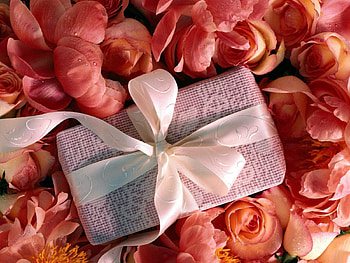 Flowers, Roses, Petals, Gift, Present, Tape, Surprise HD wallpaper