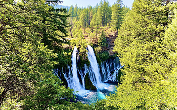 Burney Falls, California, river, trees, forest, rocks, water, usa HD wallpaper