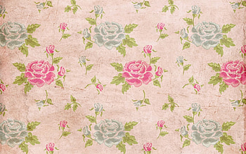 Flowers, Roses, Leaves, Texture, Textures HD wallpaper