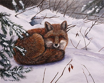 Fox in snow, animal, wildlife, painting, art, fox HD wallpaper