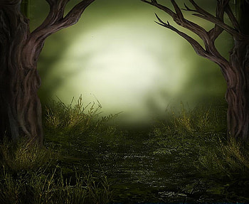 Dark Woods, gothic, dark HD wallpaper