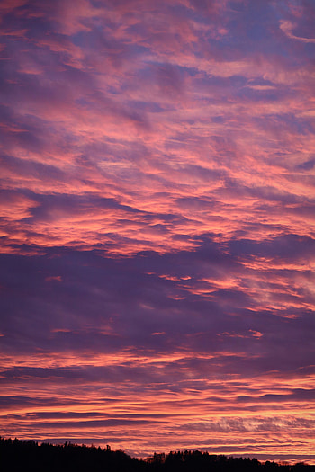 Nature, Trees, Twilight, Clouds, Dark, Dusk HD phone wallpaper