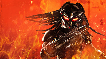 The predator movie, 1440p resolution, , Intense predator hunt HD wallpaper