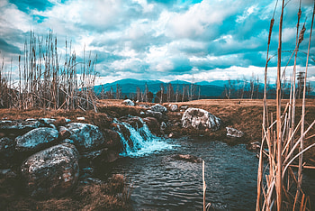 Nature, Water, Grass, Stones, Flow, Stream, Creek, Brook HD wallpaper
