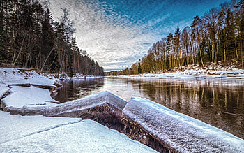 River with Ice, trees, Latvia, river, ice, winter HD wallpaper