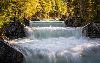 Waterfall, trees, water, forest HD wallpaper
