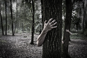 Hands Trunk Creepy Zombie Forest Horror Scary Forest At Dark HD wallpaper
