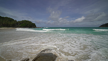 Seascape travels, Tropical beach paradise, Sandy coastline, Foamy waves HD wallpaper