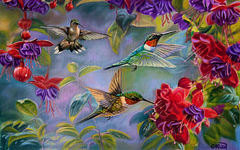 Summer Gems, artwork, birds, painting, blossoms, hummingbirds, flowers HD wallpaper