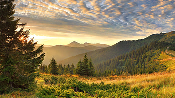Sunrise Over Mountains, Firefox Persona theme, sunrise, light, trees, nature, sky, mountains, forest, sunset HD wallpaper