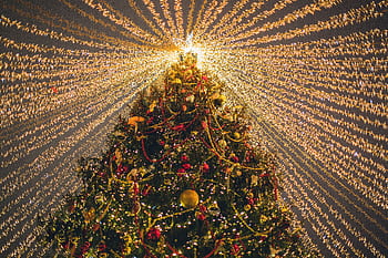 A dazzling Christmas tree adorned with lights and baubles, creating a festive and warm holiday atmosphere. HD wallpaper