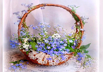 spring coming, blue, flowers, springtime, spring HD wallpaper