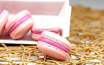 Macaron background, Soft and pastel, Dessert-themed backdrop, Gentle hues HD wallpaper