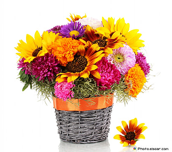 Lovely flowers bouquet, basket, Flowers, red, yellow HD wallpaper