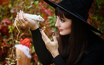 Witch, white, black, model, girl, woman, halloween, mouse, autumn, rodent, hat HD wallpaper