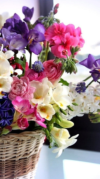 Flowers , Flowers, Basket HD phone wallpaper