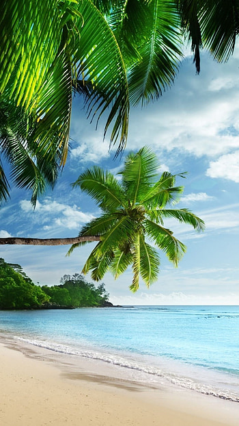 Earth tropical mobile , Beach, Summer backgrounds HD phone wallpaper