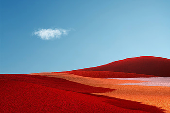 Surface Pro X , windows, microsoft, computer HD wallpaper