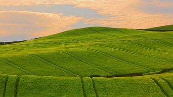 Nature, Grass, Sky, Summer, Field, Handsomely, It's Beautiful HD wallpaper