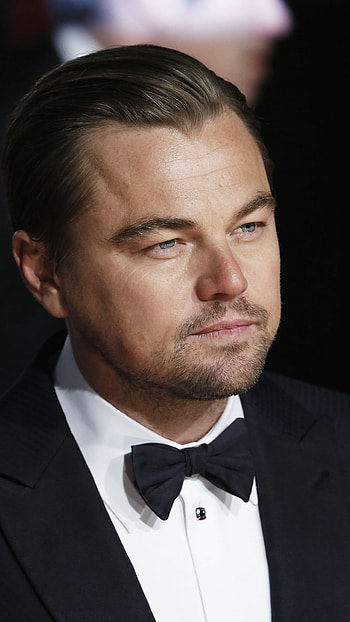 Leonardo DiCaprio, Oscar winner, 2016 Oscars, Celebrity actors HD phone wallpaper