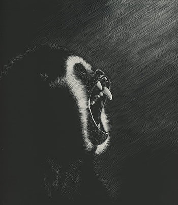 Art, Dark, Grin, Monkey, Marmoset HD phone wallpaper