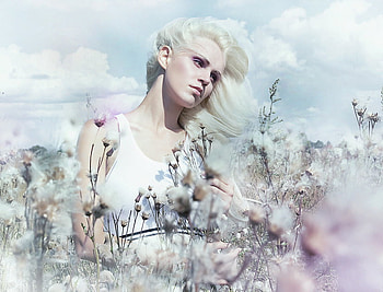 White breeze on a sunny day.., sunny, white, day, breeze, lovely, beauty HD wallpaper