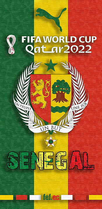 SENEGAL WORLD CUP 2022, airsenegal, dakar, fifa, samsung, caf, fsfoot, , puma, world_cup_2022 HD phone wallpaper