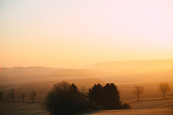 Landscape, Nature, Trees, Twilight, Fog, Dusk, Hills, Morning HD wallpaper