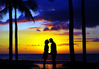 Kiss, couple, sunset, beach, silhouette, art HD wallpaper