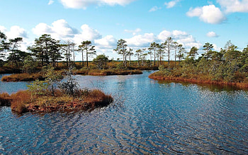 Estonia, Pin auf HD wallpaper