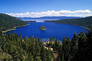 A small island, trees, island, forest, lake HD wallpaper