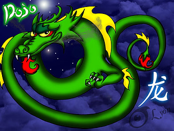 xiaolin dragon, dragon, dojo, green, xs HD wallpaper