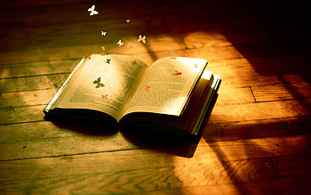 Book Book HD wallpaper