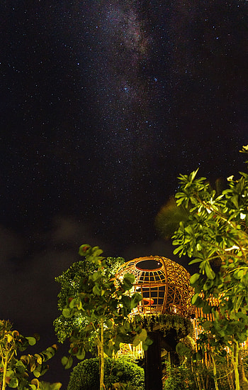 Trees, Night, Bush, Building, Miscellanea, Miscellaneous, Starry Sky HD phone wallpaper